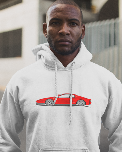 TESTAROSSA SWEATSHIRT