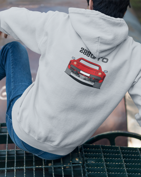 SWEATER 288 GTO