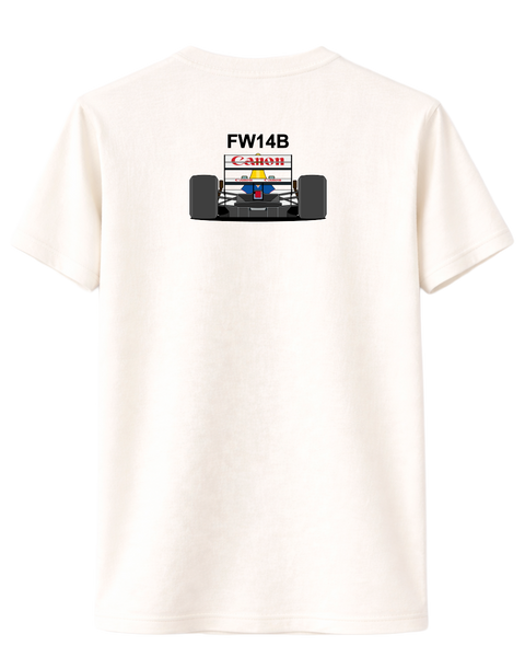 CAMISETA WILLIAMS FW14B